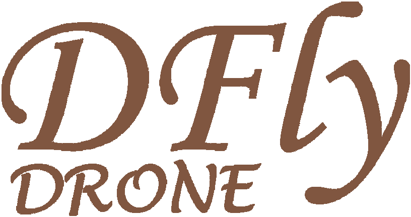 Dfly-DRONE